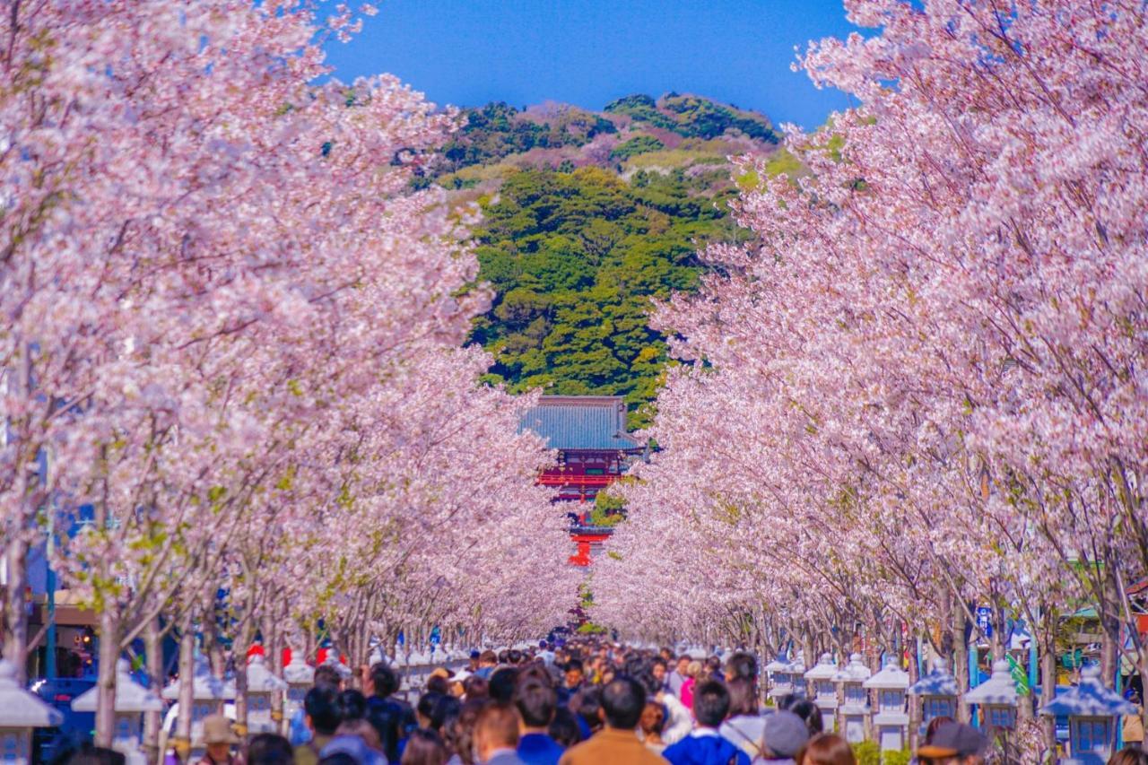 Kiyaza Resort Kamakura Bagian luar foto